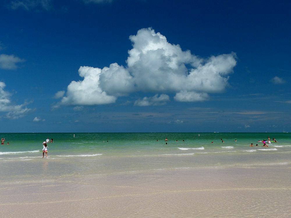 Click to See Next Image